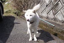 南相馬市にお邪魔して思う事