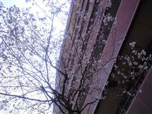 季節は巡る