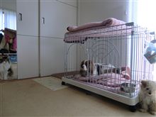 絶妙な距離感を保つ