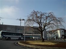 定点観測3/31(木)