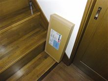 なんか来た