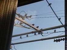 ４月だ！