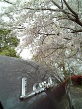 仕事辞めます!!(´Д`)モウ,ムリダワ 仕事辞めます!!(´Д`)モウ,ムリダワ