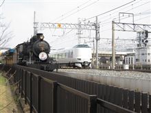 梅小路公園へ散歩に