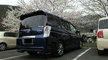 春、爛漫