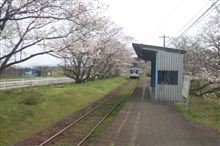 桜サク