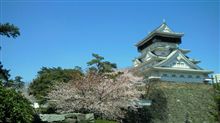 咲いた