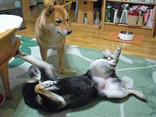 最近・・・