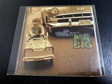MR.BIG