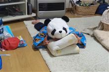 すんませんさぼってました