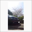 桜とオデッセイとAKB48♪