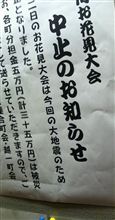 寂しい夏になりますね．．．