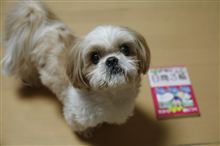 参考資料。