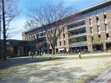 レビン