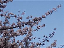 どうしたんだろう…