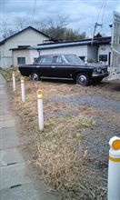 被災を免れたｸﾗｳﾝ