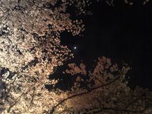 今年は暖かくなるのが遅かったけど