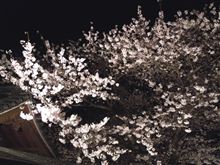 始めました。