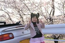 花見ドライブ♪