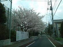 日曜だけどお仕事(x_x;)…