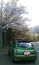 お花見ドライブ