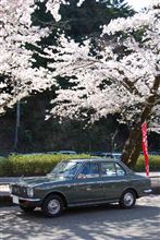 【Scene】Vol.46 TOYOTA COROLLA（E10）