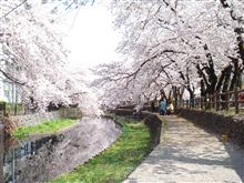 なんでかなぁ～？