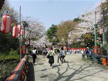 お花見