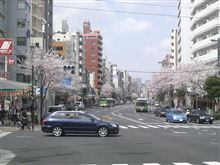 春です