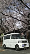 桜の木下で♪