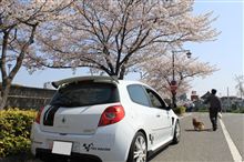 桜吹雪！