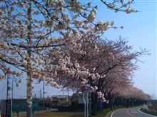春のお散歩