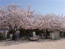 「私の卒業式♪」とバナナ号のチャンバー