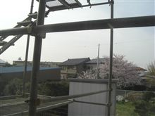 お(~∇~* )ノ は(*~∇~*)ノ よっ( *~∇~)ノ 【2011/04/11】
