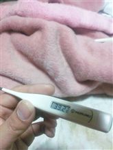 ダメだ・・・