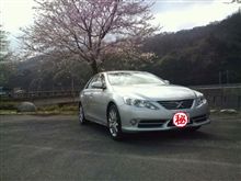 ご報告
