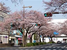あれから一ヶ月