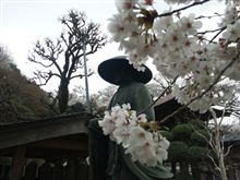 十二年に一度の
