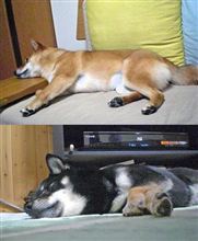 寝相にも・・・