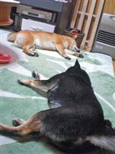 寝相にも・・・②