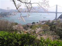 今年も関門大橋のたもとの火の山公園に行きました。