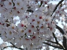 会社でも・・・