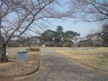 桜咲く 桜咲く