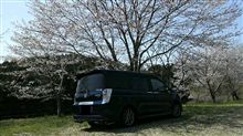 年中さん
