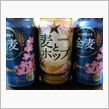 夜桜