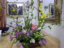 春の花