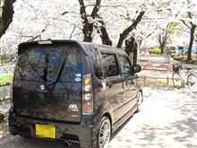 気をとりなおして～桜吹雪を堪能してきましたｗ