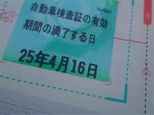 ブルも車検完了