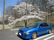 羊山公園～正丸峠
