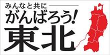 被災地ボランティアに行ってみたい